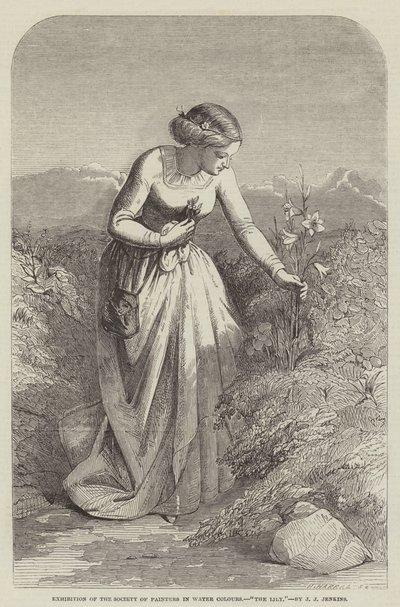 Exhibition of the Society of Painters in Water Colours, The Lily by Joseph John Jenkins
